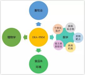 技术革新 DIA-PRM全蛋白筛选与目标蛋白验证一体化解决方案