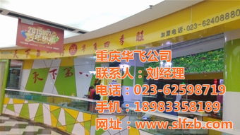 重庆华飞酸辣粉技术培训 高清图鉴与专业推广，开启地道风味创业之路